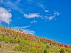 USA-Utah-Logan Pass Colorful autumn in Provo Pass Art Print